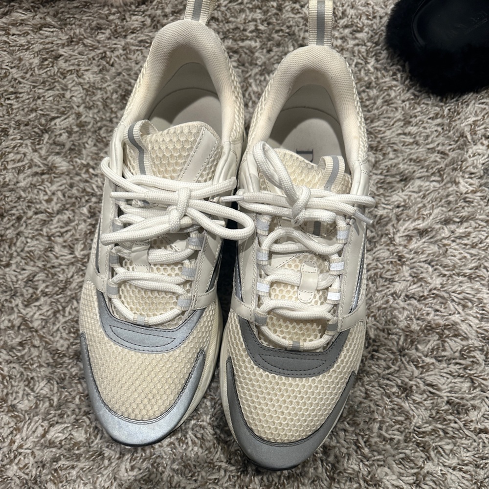 Mens dior b22